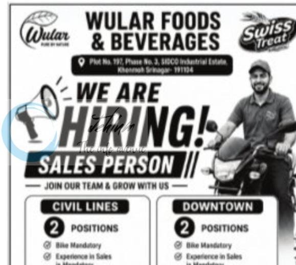 Wular Foods Beverages Srinagar Sales Person job opportunities 2026
