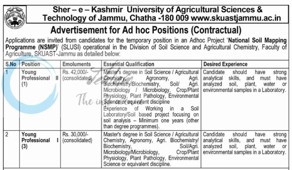 SKUAST Jammu National Soil Mapping Programme NSMP Young Professional Advertisement No AUJS/SS/NSPM/26-27/95-99