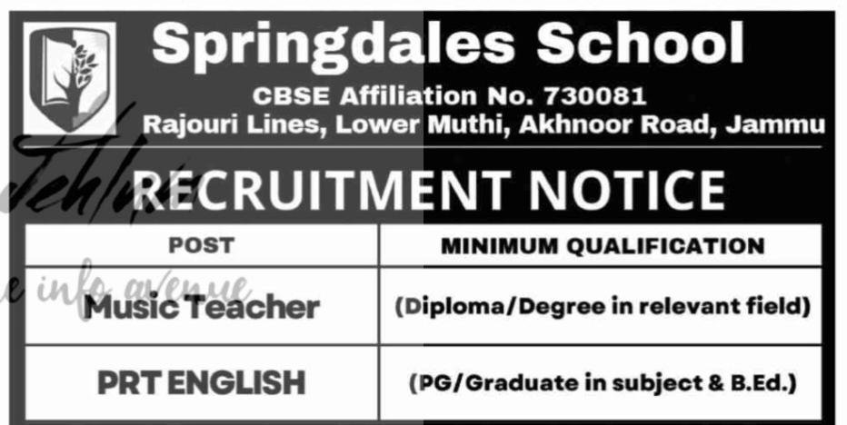 Springdales School Jammu Jobs Openings 2026