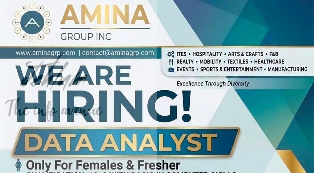 AMINA GROUP INC Srinagar Data Analyst job opportunities 2026