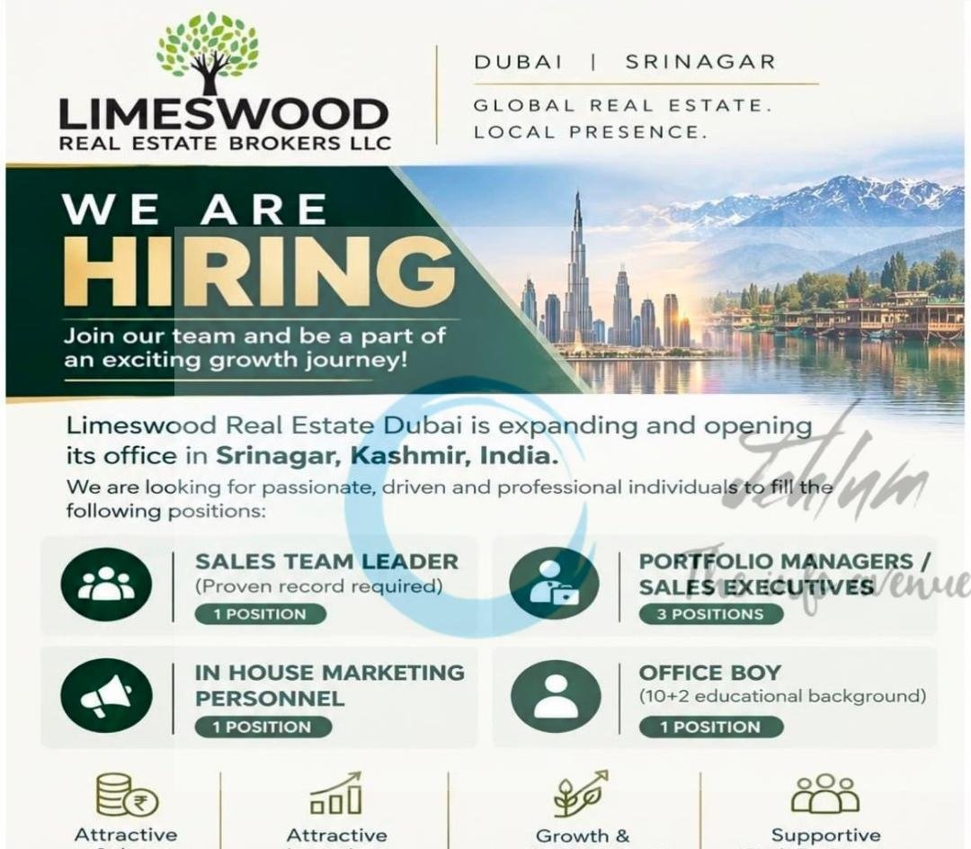 Limeswood Real Estate Brokers LLC Sales Team Leader Portfolio Managers job opportunities 2026