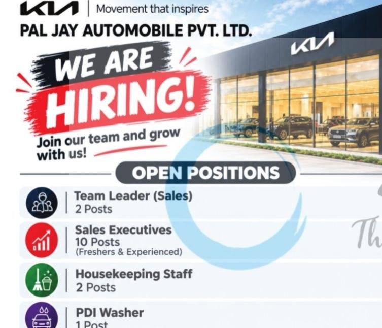 PAL JAY AUTOMOBILE PVT LTD Srinagar Anantnag Team Leader Sales Executives job opportunities 2026