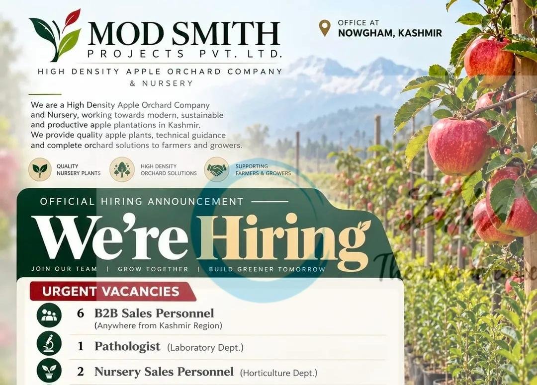 Mod Smith Projects Pvt Ltd Nowgham B2B Sales Pathologist Nursery Sales Accountant job opportunities 2026