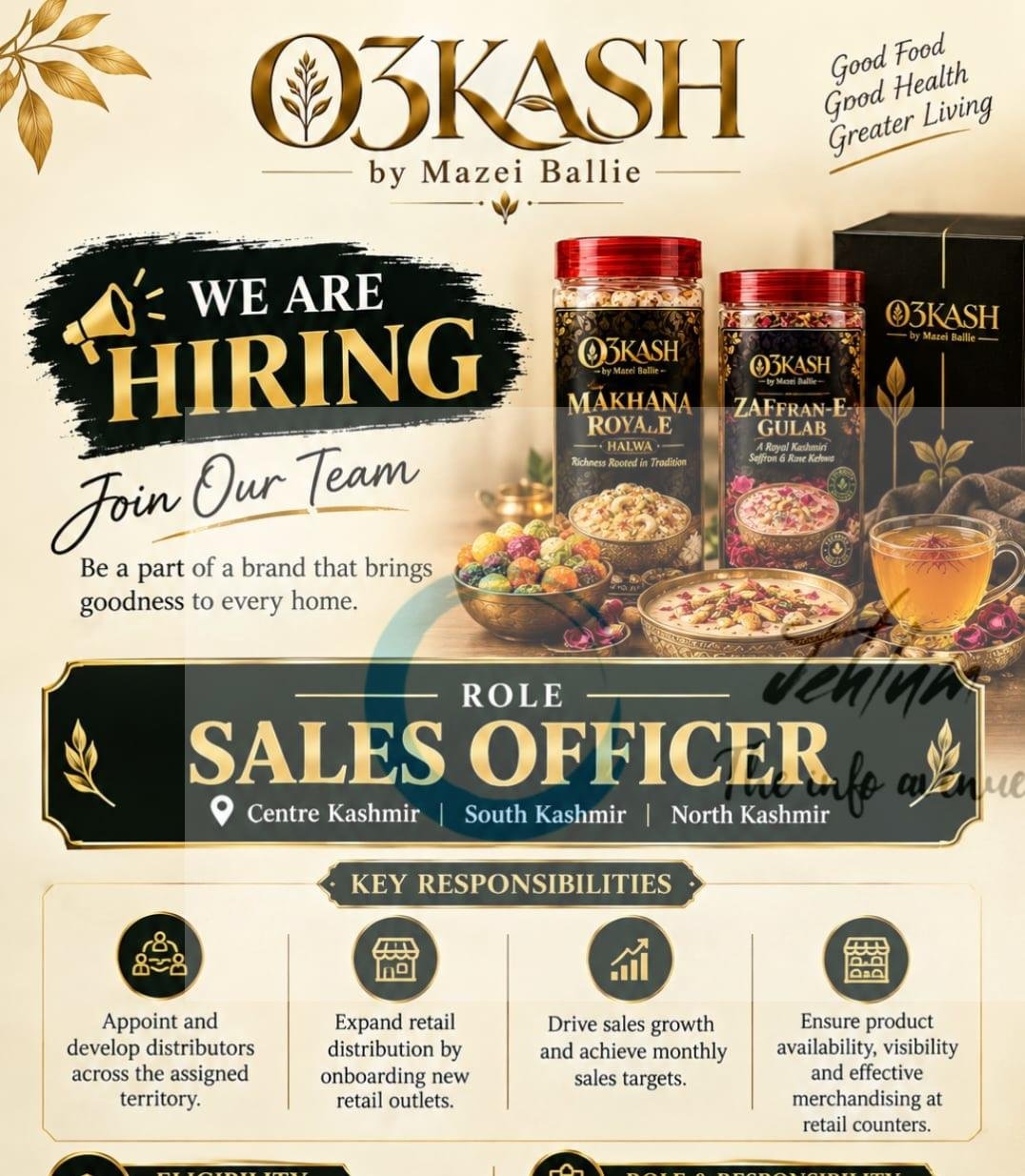 Hasnain Hydaris Implex O3KASH Anantnag Sales Officer opportunities 2026